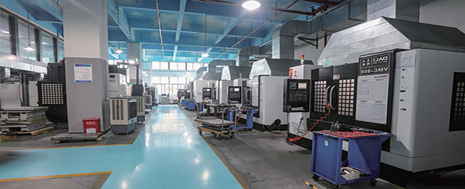 Company Profile